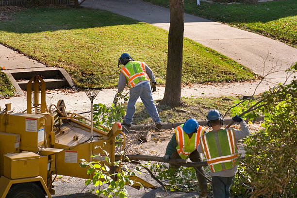 Best Commercial Tree Services  in Chestnut Ridge, NY