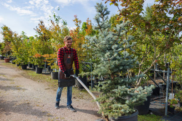Best Tree Risk Assessment  in Chestnut Ridge, NY